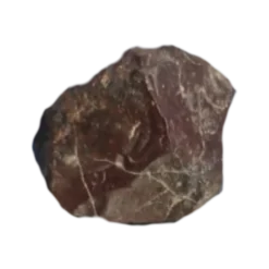 Tissint Martian Meteorite