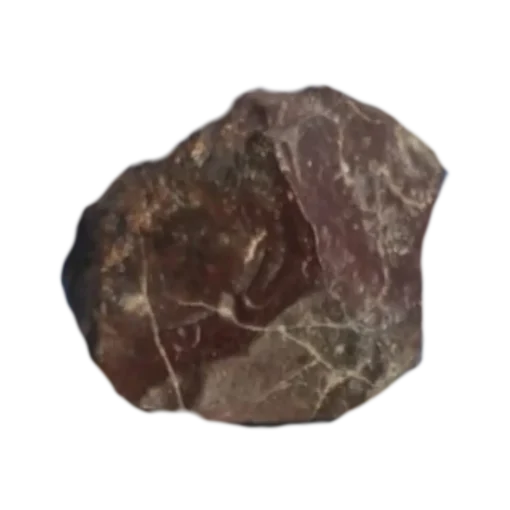 Tissint Martian Meteorite
