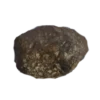 NWA 869 Chondrite