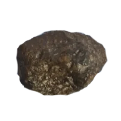 NWA 869 Chondrite