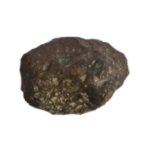 NWA 869 Chondrite
