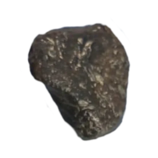 NWA 13188 Pallasite