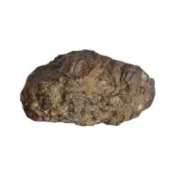 NWA 14389 Iron Meteorite