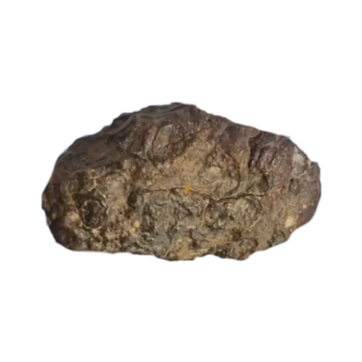 NWA 14389 Iron Meteorite