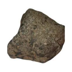 Stony Meteorite