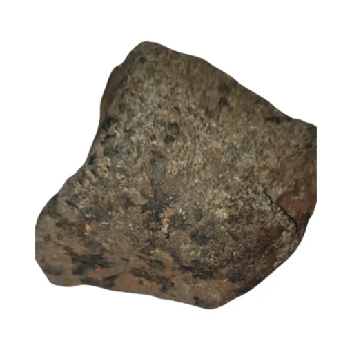 Stony Meteorite